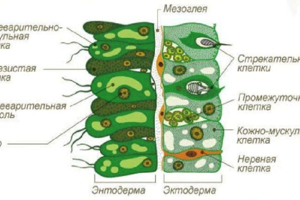 Сайт кракен тор